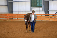 Yearling Gelding Futurity
