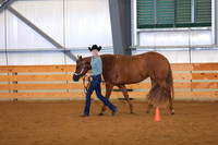 Youth Performance Mares