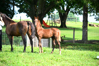AJB_3421