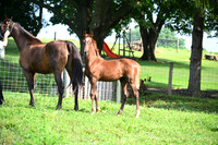 AJB_3422