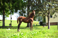 AJB_3428