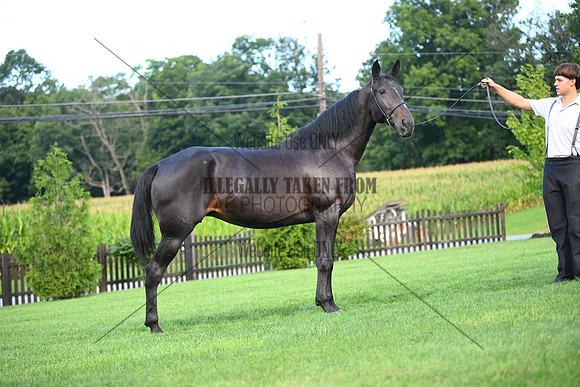 AJB_2264