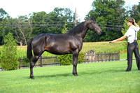 AJB_2270