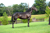 AJB_2271