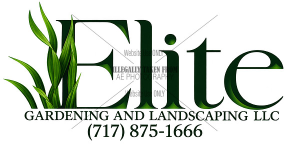 Elite Lawn Care