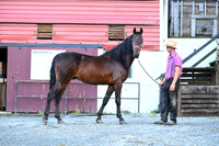 AJB_2239