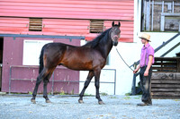 AJB_2241