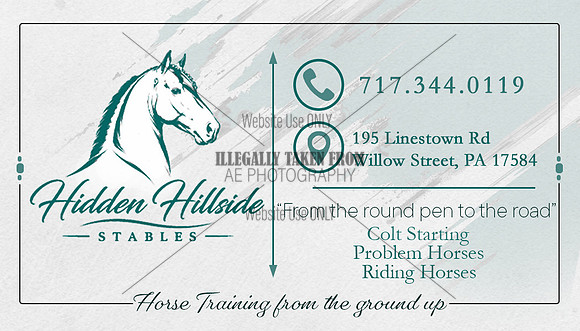 HiddenHillsideAcres-backside