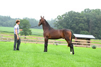 AJB_6743