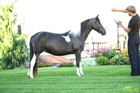 AJB_2807