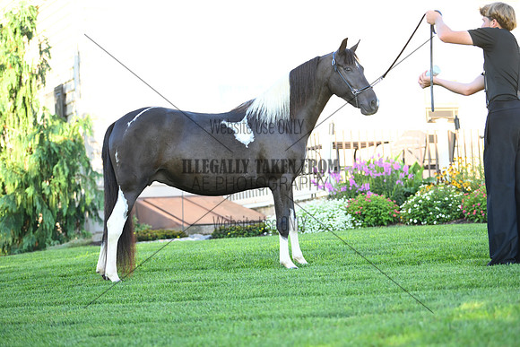 AJB_2809