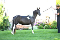 AJB_2814