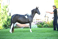 AJB_2821