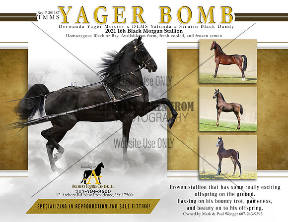 Yager Balm-Calendar page-2