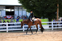 Jr Hunter Under Saddle