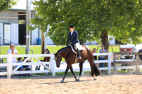 Level 1 Green Hunter Under Saddle