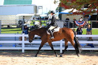 Level 1 Youth Hunter Under Saddle