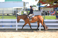 PQHA Non-Pro 3 & 4 Year Old Non-Pro Hunter Under Saddle Stakes