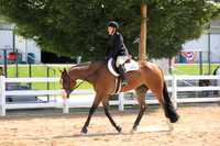Select Amateur Hunter Under Saddle