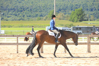 Senior Hunter Under Saddle