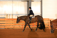 Level 1 Amateur Walk Trot Hunter Under Saddle
