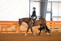 Level 1 Youth Walk Trot Hunter Under Saddle