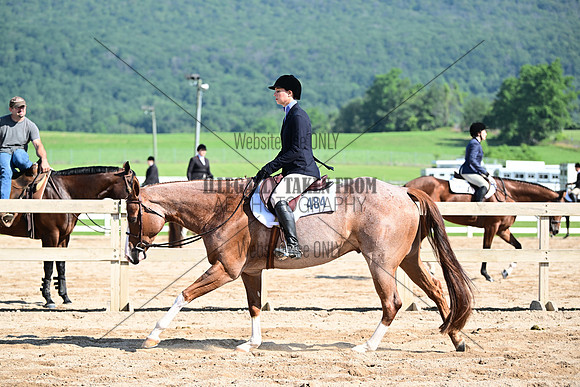 AJB_6514