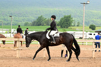 AJB_6590