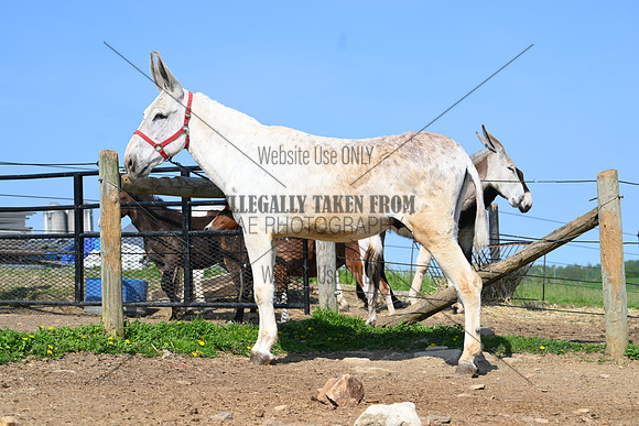 file_255893896704