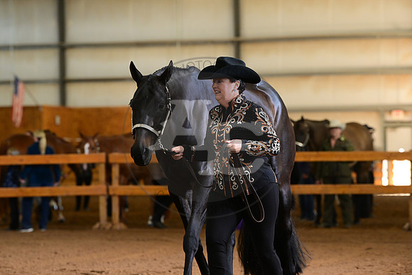 AJB_0953