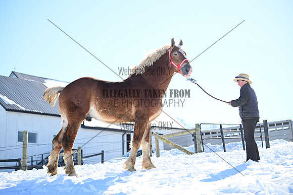 file_177586709504