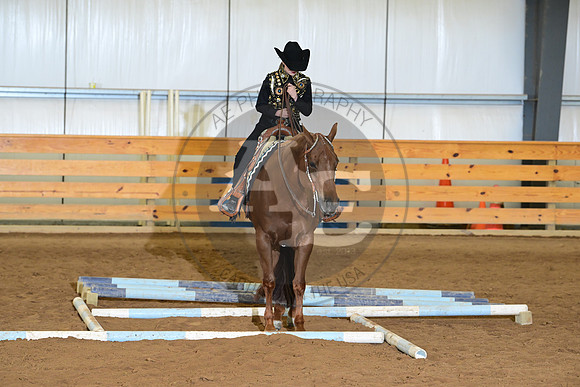 AJB_8516