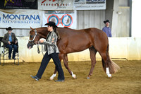 AJB_2028