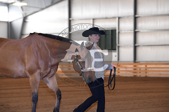 AJB_4878