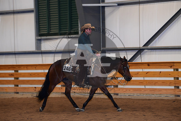 AJB_4538