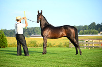AJB_0526