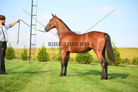 AJB_0702