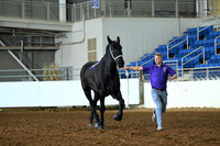 AJB_4883