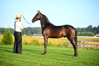 AJB_0512