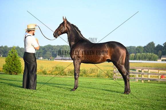 AJB_0512