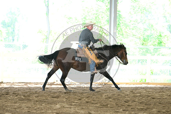 AJB_1729
