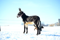 file_176904806912