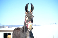 file_176875381248