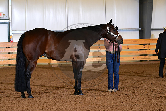 AJB_0139