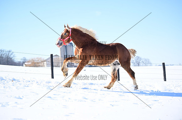file_177349184512