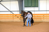 13. Amatuer 3 Year Old Mares