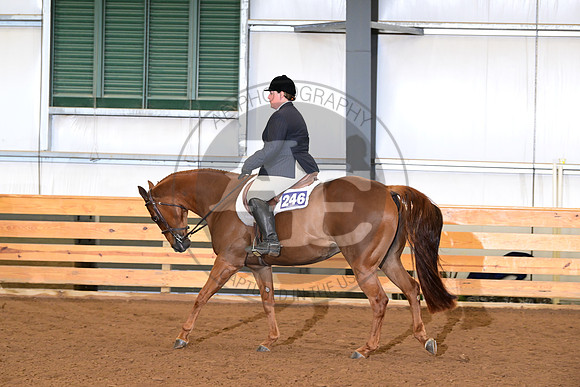 AJB_0931