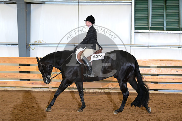 AJB_3028