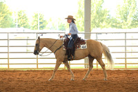 All Breed Walk Trot Working Western Rail