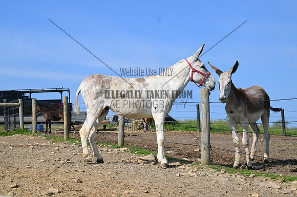 file_253959371264